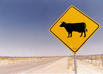 恋爱动作新游《Eternights》新预告 支持中文9月21日发售